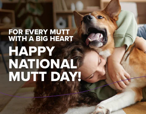 A Day to Celebrate the Uniqueness of Mutts