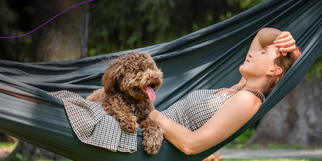 How to Prepare Your Dog for a Pet Hotel Stay