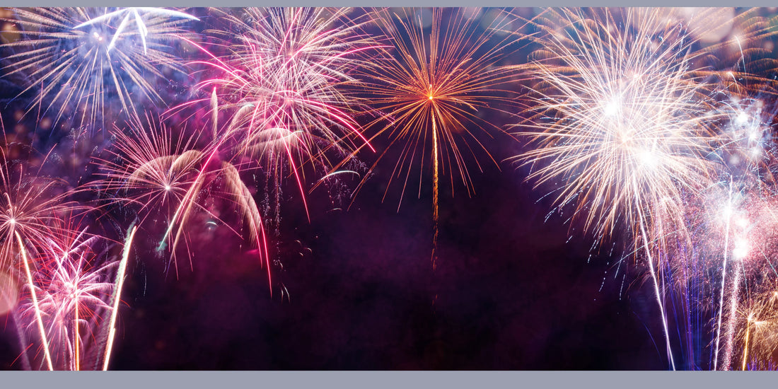 Fireworks and Your Dog: How to Keep Your Pet Calm During the Booms and Bangs