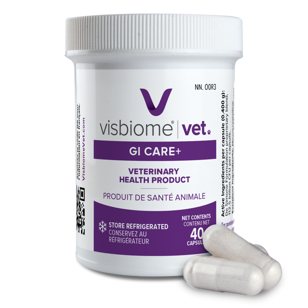 Visbiome Vet GI Care+ - Capsules Product Description